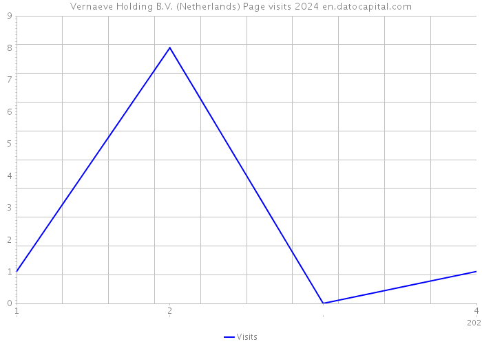 Vernaeve Holding B.V. (Netherlands) Page visits 2024 