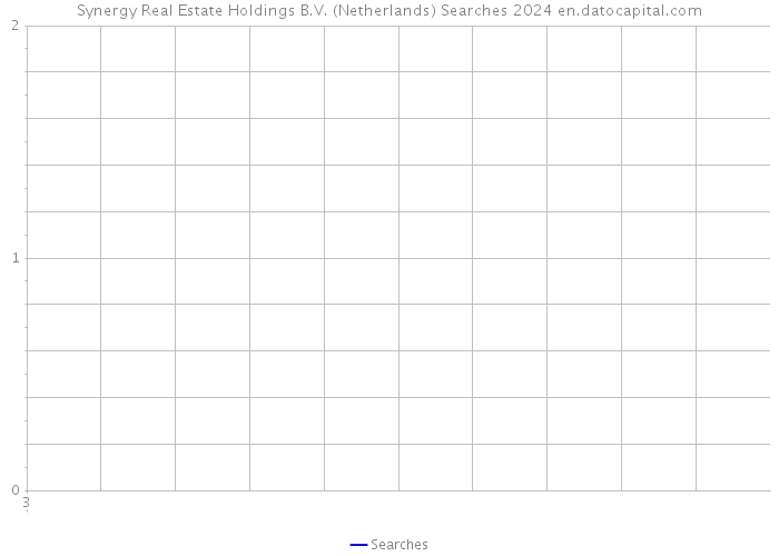 Synergy Real Estate Holdings B.V. (Netherlands) Searches 2024 
