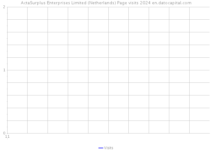 ActaSurplus Enterprises Limited (Netherlands) Page visits 2024 