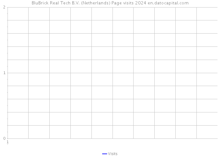 BluBrick Real Tech B.V. (Netherlands) Page visits 2024 
