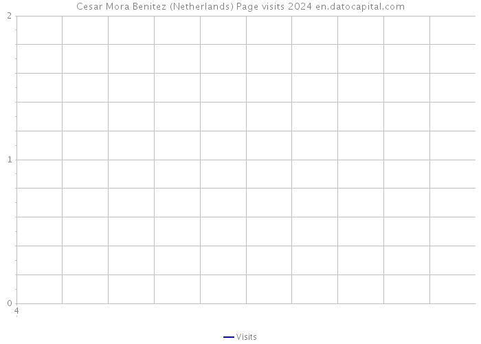 Cesar Mora Benitez (Netherlands) Page visits 2024 