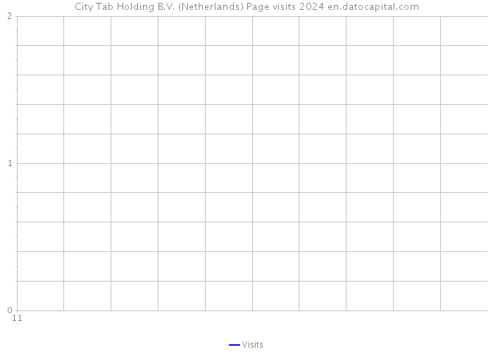 City Tab Holding B.V. (Netherlands) Page visits 2024 