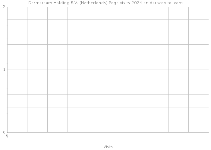 Dermateam Holding B.V. (Netherlands) Page visits 2024 