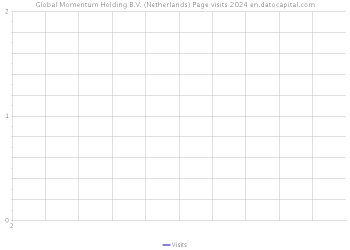 Global Momentum Holding B.V. (Netherlands) Page visits 2024 