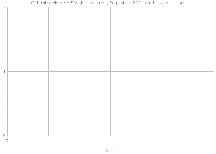 Goldmine Holding B.V. (Netherlands) Page visits 2024 