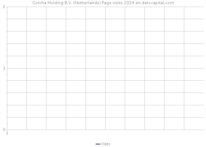 Gotcha Holding B.V. (Netherlands) Page visits 2024 