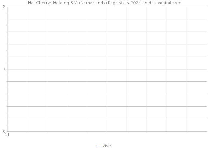 Hol Cherrys Holding B.V. (Netherlands) Page visits 2024 