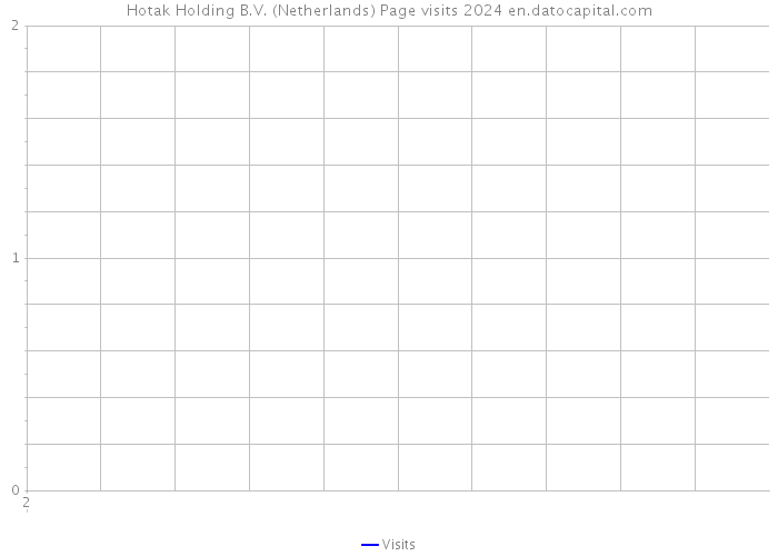 Hotak Holding B.V. (Netherlands) Page visits 2024 