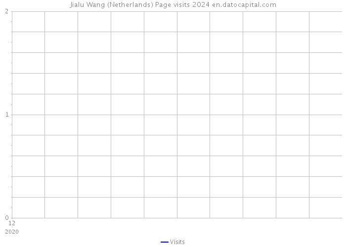 Jialu Wang (Netherlands) Page visits 2024 