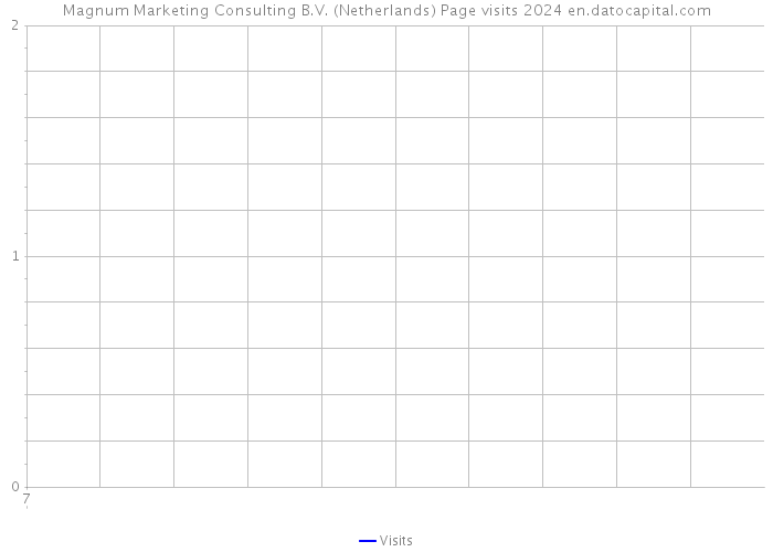 Magnum Marketing Consulting B.V. (Netherlands) Page visits 2024 