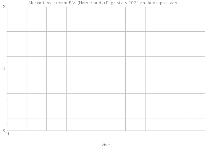 Muscari Investment B.V. (Netherlands) Page visits 2024 