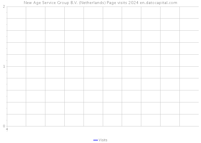 New Age Service Group B.V. (Netherlands) Page visits 2024 