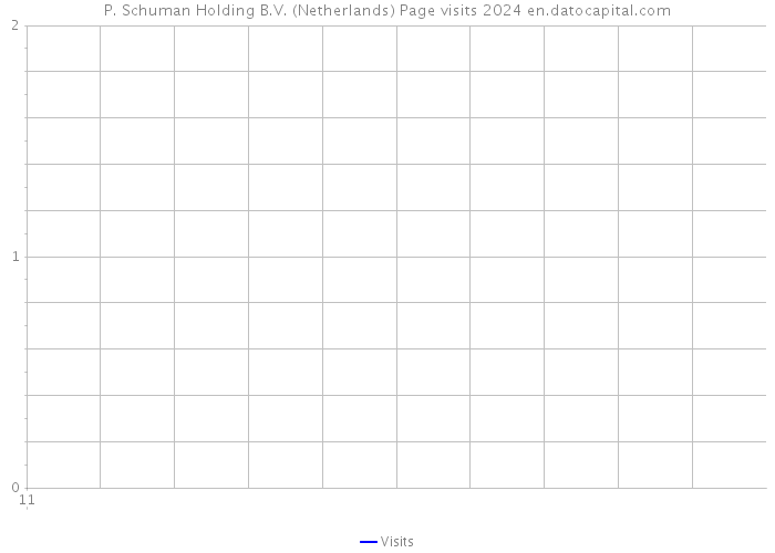 P. Schuman Holding B.V. (Netherlands) Page visits 2024 
