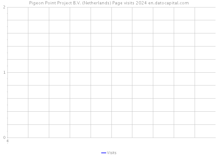 Pigeon Point Project B.V. (Netherlands) Page visits 2024 