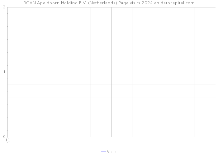 ROAN Apeldoorn Holding B.V. (Netherlands) Page visits 2024 