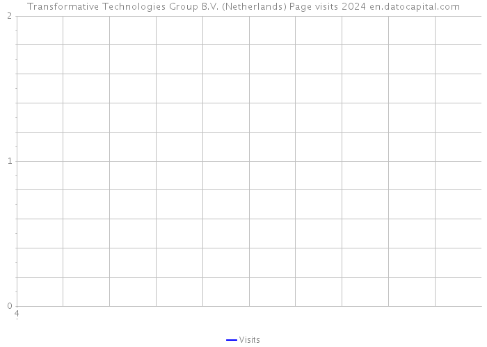 Transformative Technologies Group B.V. (Netherlands) Page visits 2024 