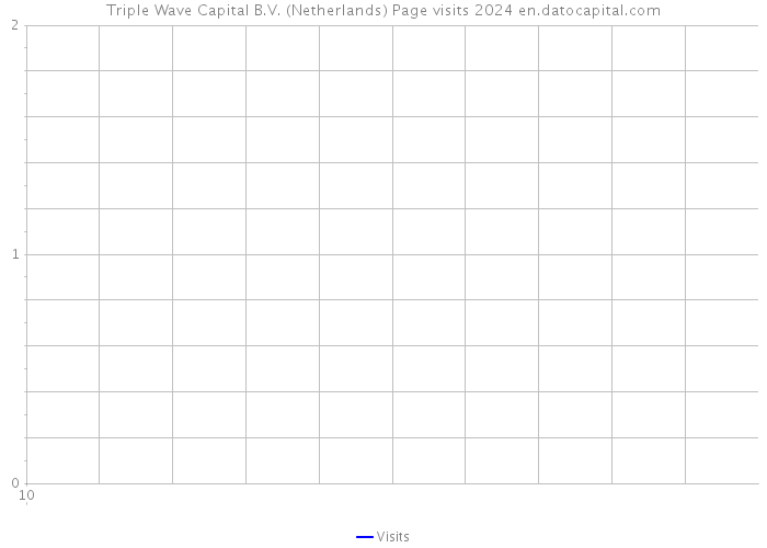 Triple Wave Capital B.V. (Netherlands) Page visits 2024 