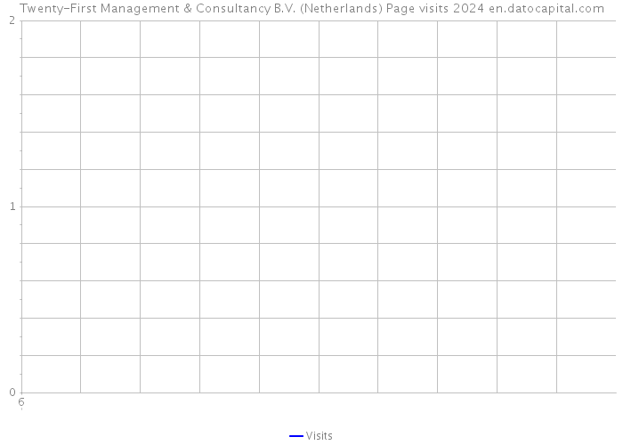 Twenty-First Management & Consultancy B.V. (Netherlands) Page visits 2024 