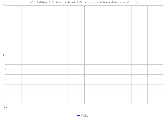 VVS Holding B.V. (Netherlands) Page visits 2024 