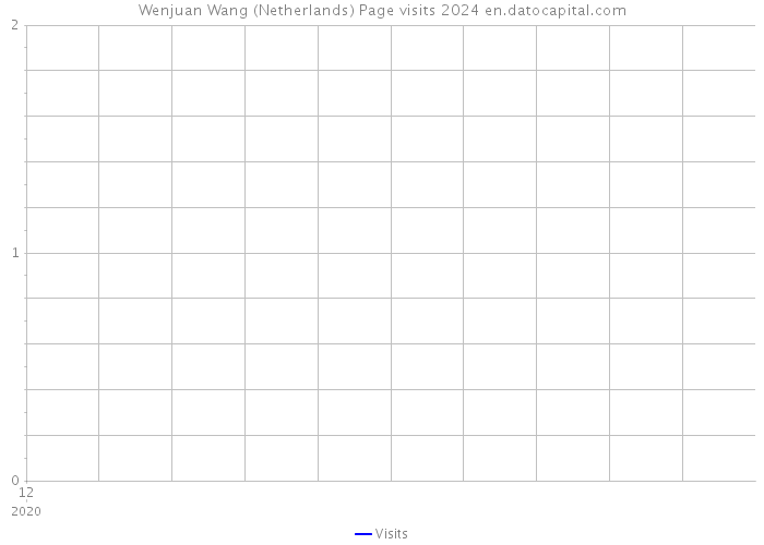 Wenjuan Wang (Netherlands) Page visits 2024 
