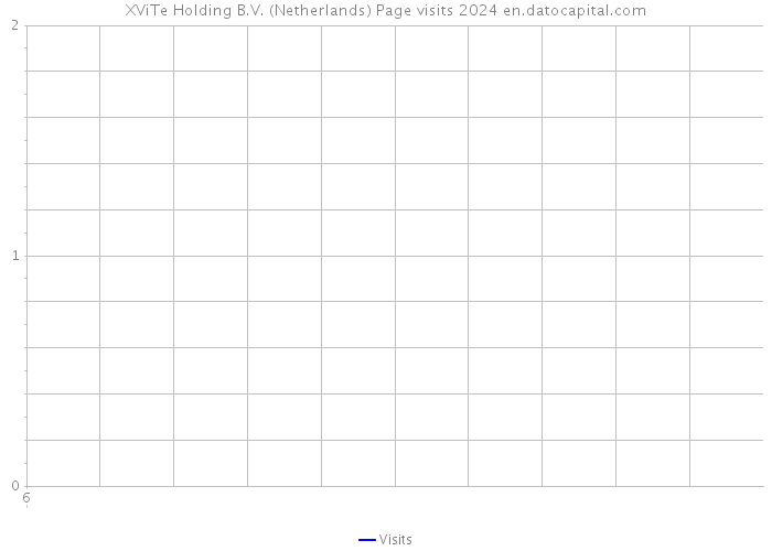 XViTe Holding B.V. (Netherlands) Page visits 2024 