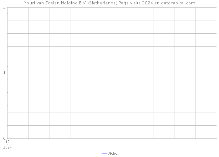 Youri van Zoelen Holding B.V. (Netherlands) Page visits 2024 
