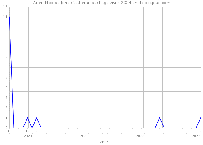 Arjen Nico de Jong (Netherlands) Page visits 2024 
