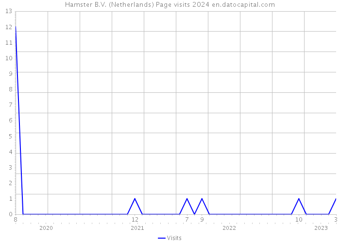 Hamster B.V. (Netherlands) Page visits 2024 