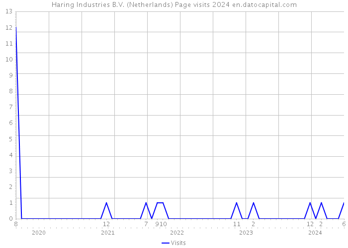 Haring Industries B.V. (Netherlands) Page visits 2024 