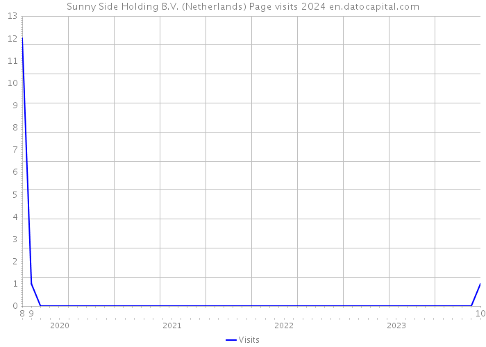 Sunny Side Holding B.V. (Netherlands) Page visits 2024 