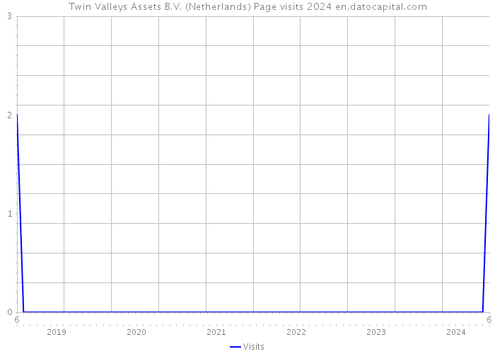 Twin Valleys Assets B.V. (Netherlands) Page visits 2024 