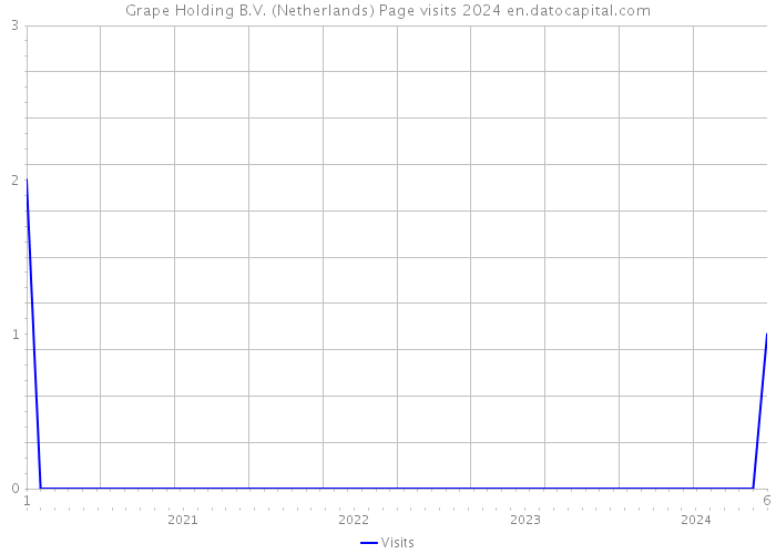 Grape Holding B.V. (Netherlands) Page visits 2024 