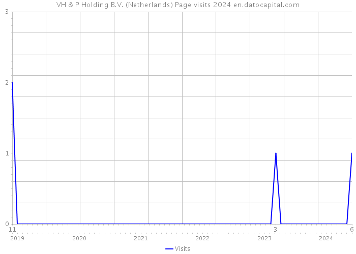 VH & P Holding B.V. (Netherlands) Page visits 2024 