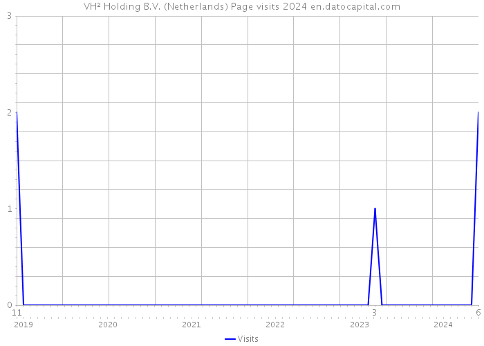 VH² Holding B.V. (Netherlands) Page visits 2024 