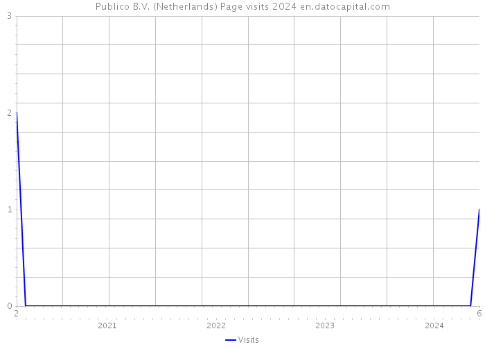 Publico B.V. (Netherlands) Page visits 2024 