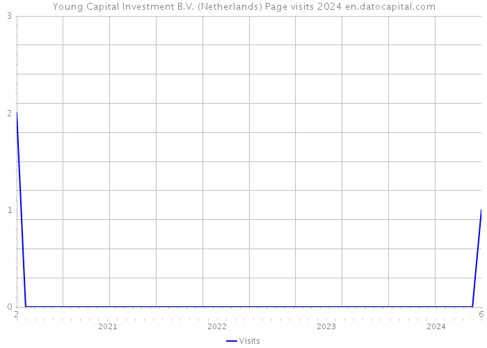 Young Capital Investment B.V. (Netherlands) Page visits 2024 
