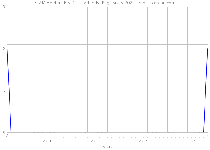 FLAM Holding B.V. (Netherlands) Page visits 2024 