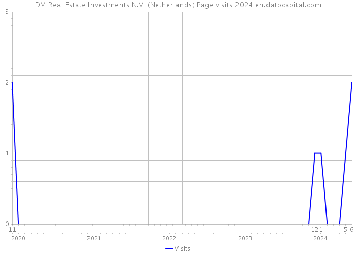DM Real Estate Investments N.V. (Netherlands) Page visits 2024 