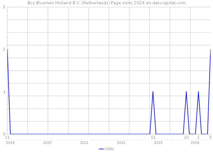 Bos Bloemen Holland B.V. (Netherlands) Page visits 2024 