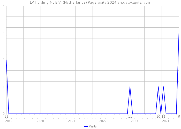 LP Holding NL B.V. (Netherlands) Page visits 2024 