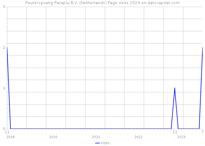 Peuteropvang Paraplu B.V. (Netherlands) Page visits 2024 