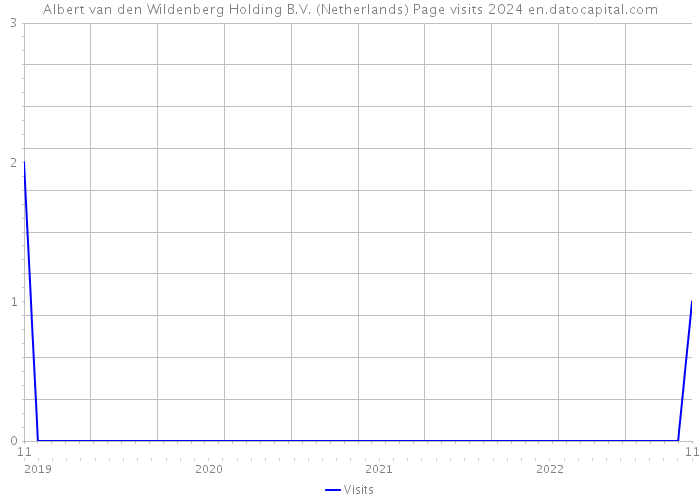 Albert van den Wildenberg Holding B.V. (Netherlands) Page visits 2024 