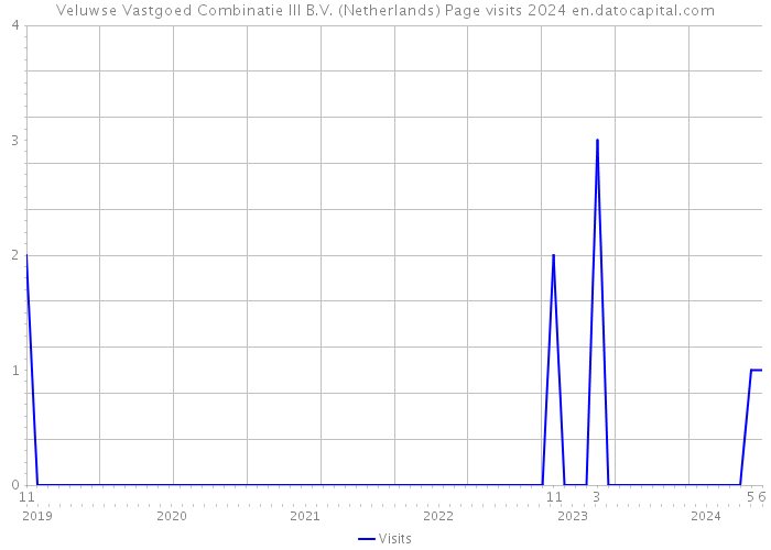 Veluwse Vastgoed Combinatie III B.V. (Netherlands) Page visits 2024 