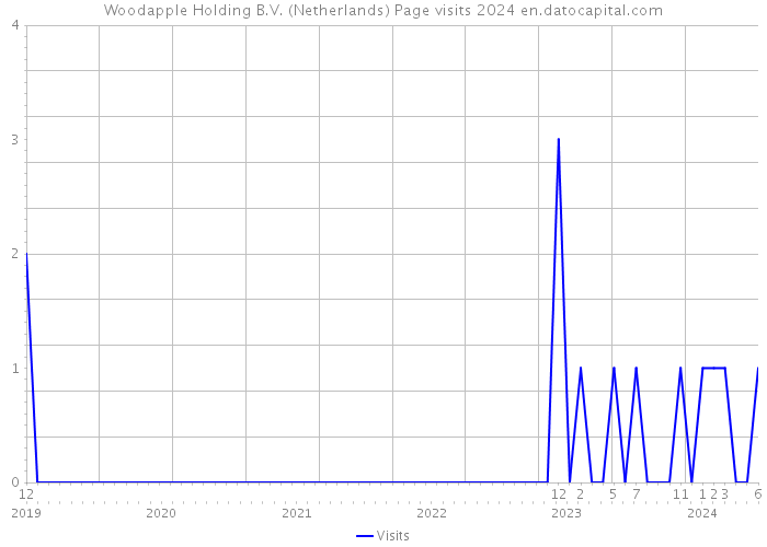 Woodapple Holding B.V. (Netherlands) Page visits 2024 