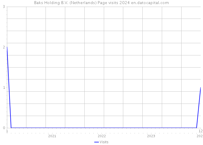 Baks Holding B.V. (Netherlands) Page visits 2024 