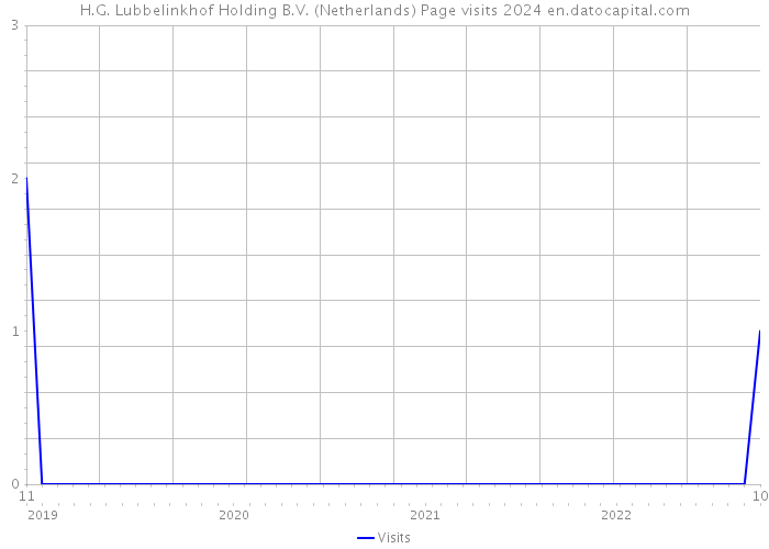 H.G. Lubbelinkhof Holding B.V. (Netherlands) Page visits 2024 