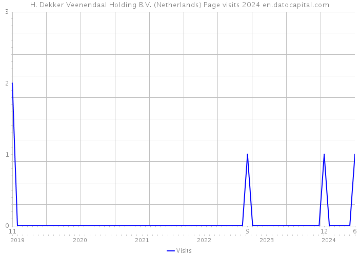 H. Dekker Veenendaal Holding B.V. (Netherlands) Page visits 2024 