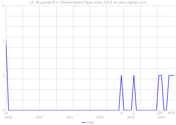 J.K. Brugman B.V. (Netherlands) Page visits 2024 