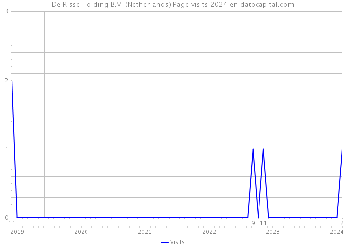 De Risse Holding B.V. (Netherlands) Page visits 2024 
