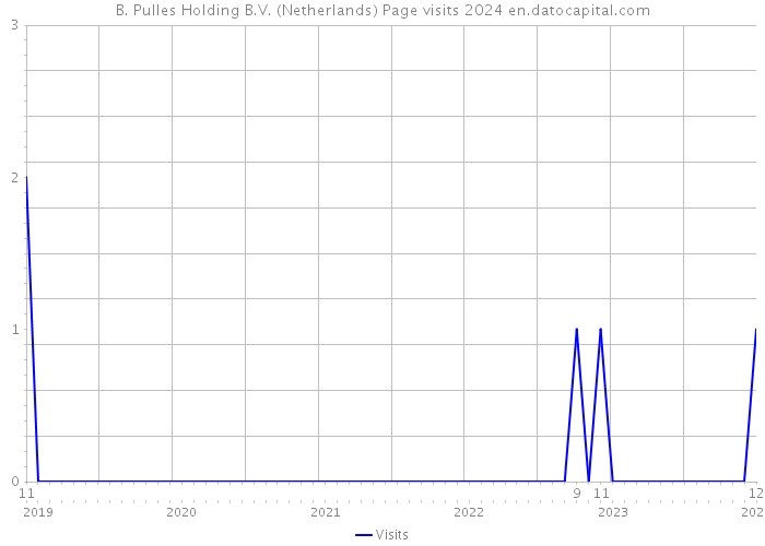 B. Pulles Holding B.V. (Netherlands) Page visits 2024 